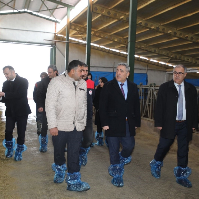 Elazığ'da hayvancılık altyapısı yerinde incelendi