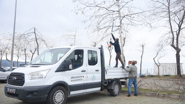 Giresun'dan kısa kısa