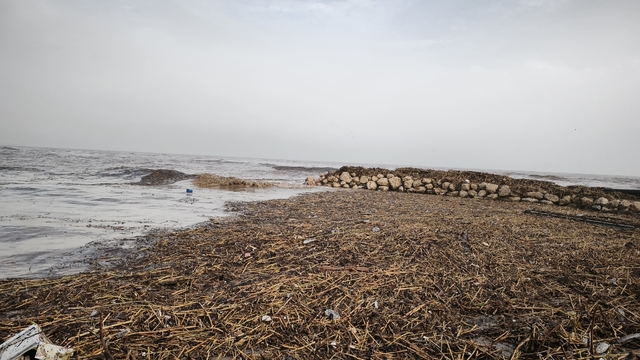 Mersin'de sağanak; dereler taştı, yolları su bastı (3)