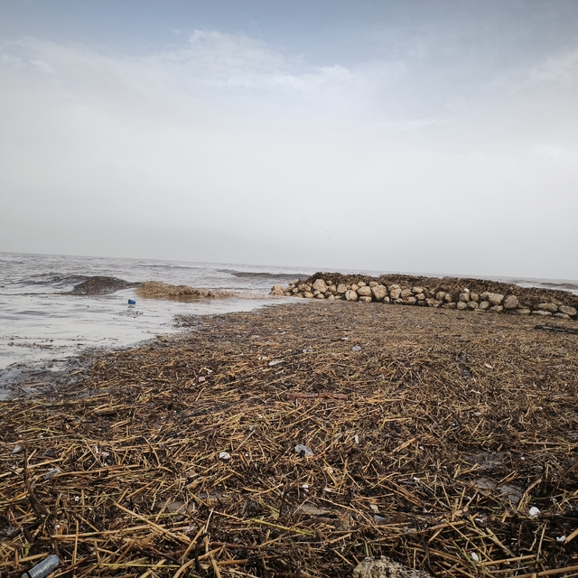 Mersin'de sağanak; dereler taştı, yolları su bastı (3)