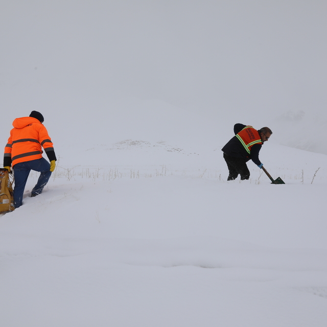 Başkale'de yaban hayvanları için doğaya yem bırakıldı