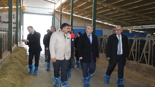 Elazığ'da hayvancılık altyapısı yerinde incelendi