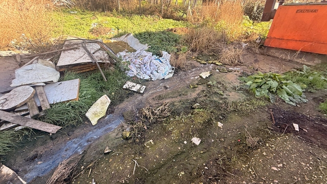 Sakarya'da tavuk çiftliğine biyogüvenlik kısıtlaması getirildi