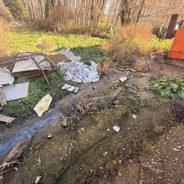 Sakarya'da tavuk çiftliğine biyogüvenlik kısıtlaması getirildi