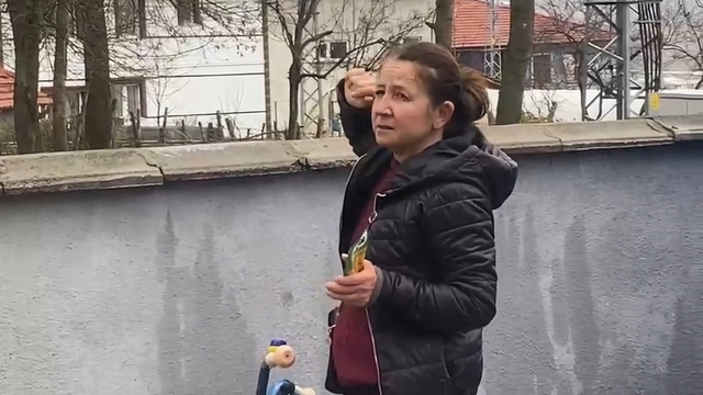 Ağaçta mahsur kalan kedi bir haftadır kurtarılmayı bekliyor