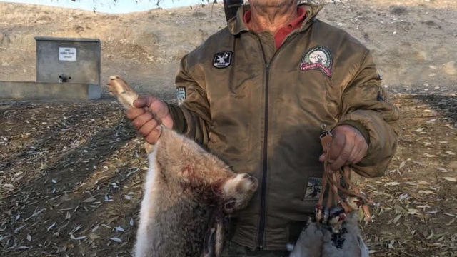 Kangal cinsi köpeği av tüfeğiyle vurarak öldürdüğü iddia edilen şüpheli tutuklandı