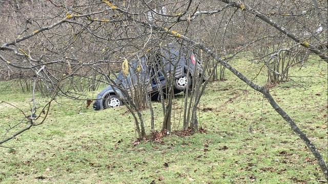 Samsun'da fındık bahçesine yuvarlanan araçtaki 1 kişi öldü, 2 kişi yaralandı