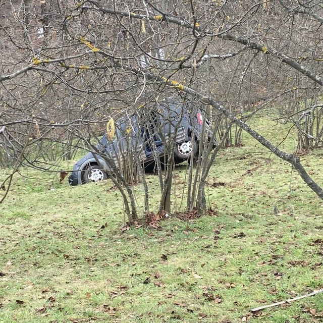 Samsun'da fındık bahçesine yuvarlanan araçtaki 1 kişi öldü, 2 kişi yaraland...
