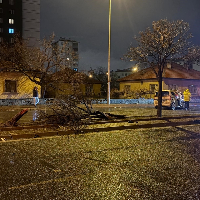 Kaza savrulan otomobil ağacı ikiye böldü: 4 yaralı