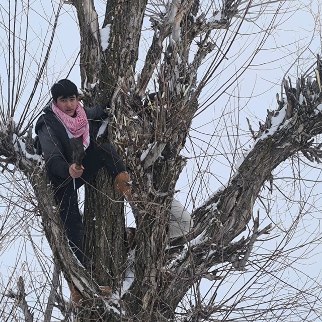 Muş'ta besicilerden alternatif yem yöntemi