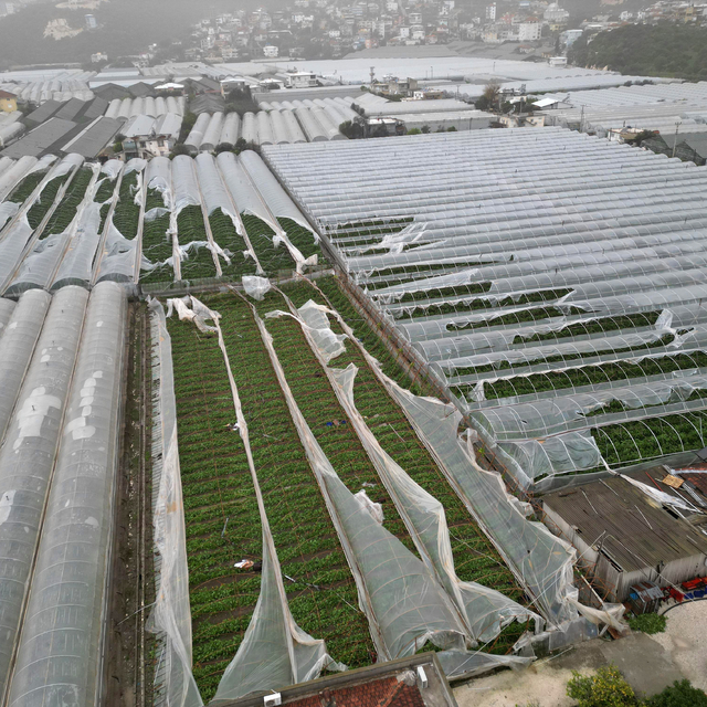 Yağmur ve hortum, sebze-meyveyi vurdu