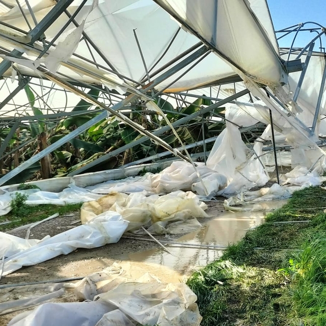 TZOB Genel Başkanı Bayraktar, hortumdan etkilenen Manavgat'ta çiftçilerle b...