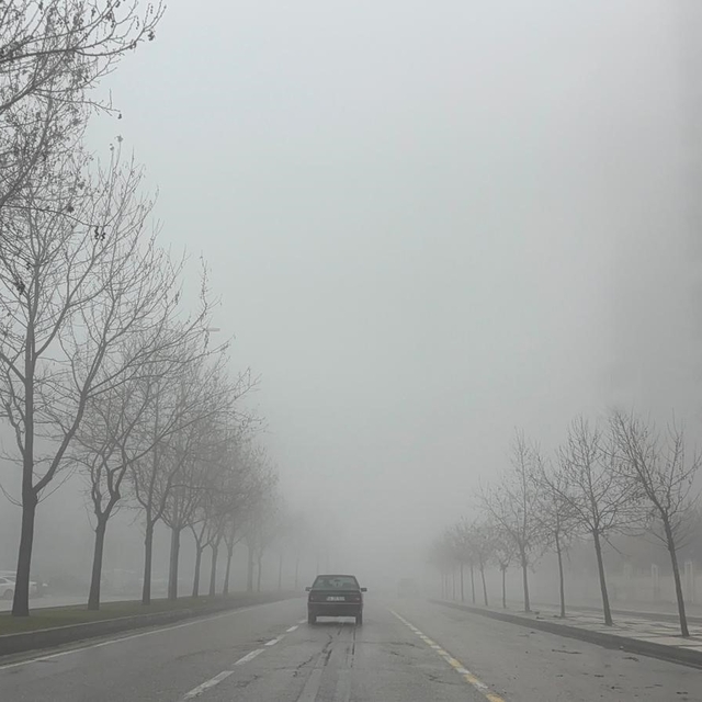 Gaziantep'te 2 gündür yoğun sis etkili oluyor