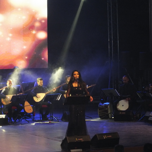 Sivas'ta Halil Söyler'i anma konseri düzenlendi