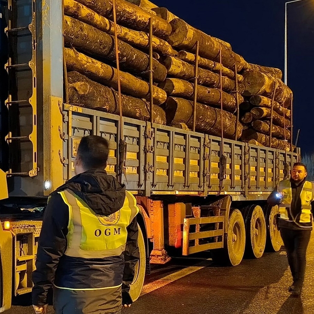 Orman denetimleri sürdürülüyor