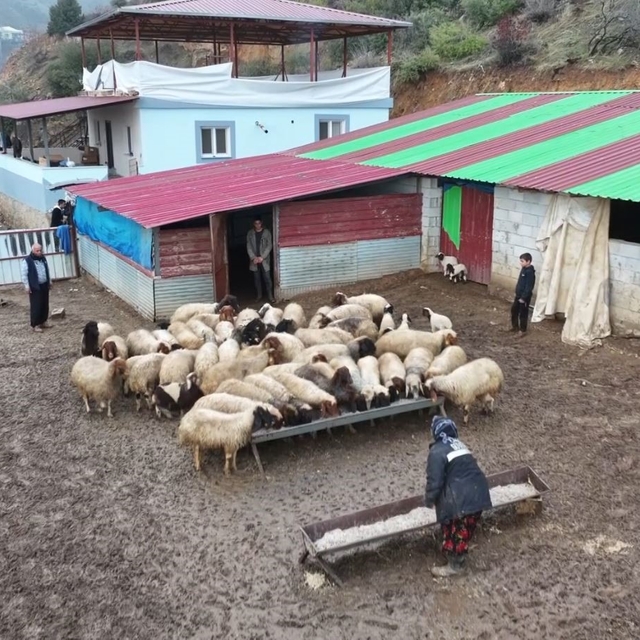 Depremzede besici devlet desteğiyle hayata tutundu