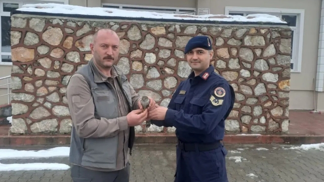 Sinop'ta jandarma ekipleri yaralı kuşa umut oldu