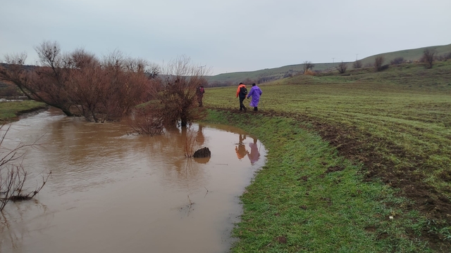 379 kişi iz takip ve kadavra köpeğiyle kayıp kadını arıyor