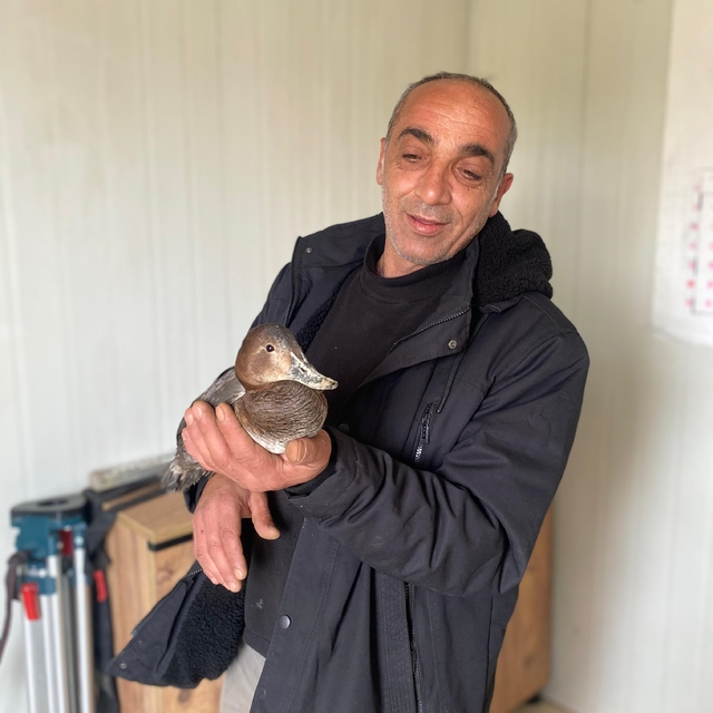 Şantiyede yaralı halde bulduğu ördeğe çocuğu gibi baktı