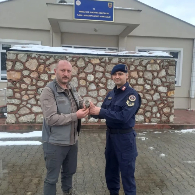 Sinop'ta jandarma ekipleri yaralı kuşa umut oldu