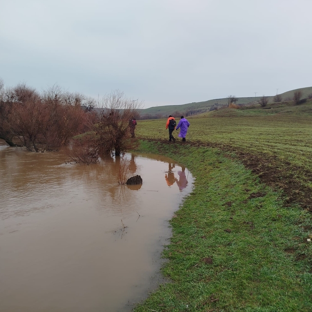 379 kişi iz takip ve kadavra köpeğiyle kayıp kadını arıyor
