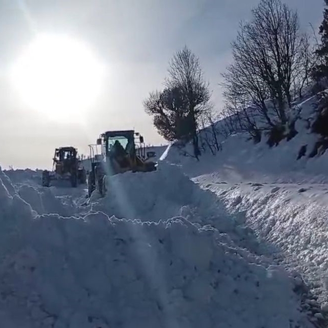 Şirvan'da kar yağışı başladı