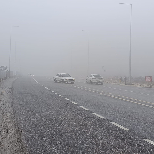 Şanlıurfa'da yoğun sis ve yağmur etkili oluyor