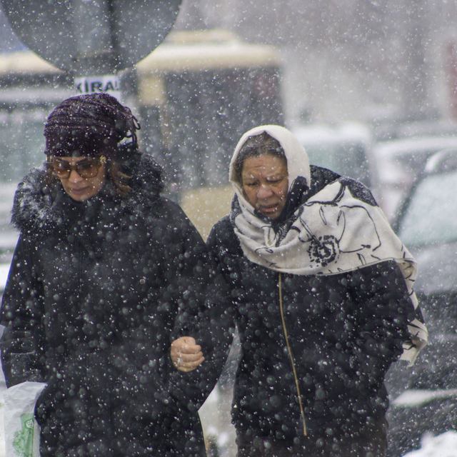 Erzurum ve Kars'ta kar etkili oldu