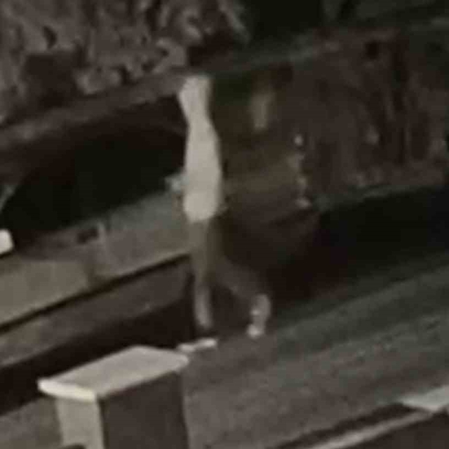 Eskişehir'de 7 araç camını kırıp hırsızlık yapan şahıs tutuklandı