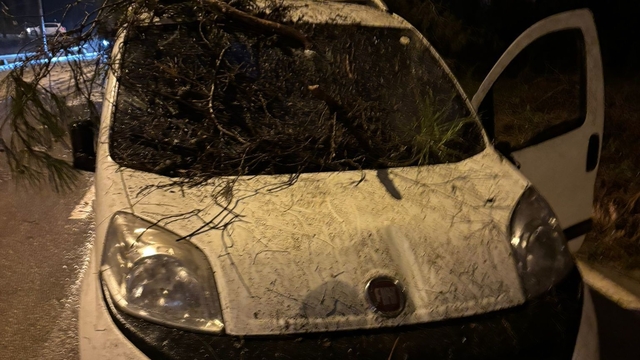 Adana'da devrilen ağacın dalları, seyir halindeki aracın ön camına saplandı
