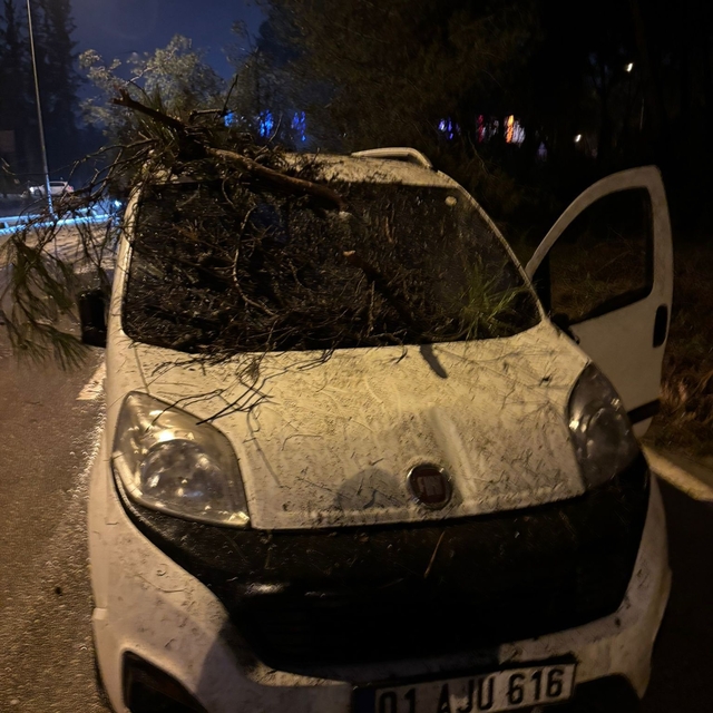 Adana'da devrilen ağacın dalları, seyir halindeki aracın ön camına saplandı