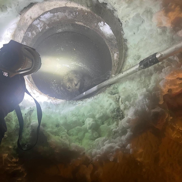 Muş'ta kuyuya düşen köpeği itfaiye kurtardı