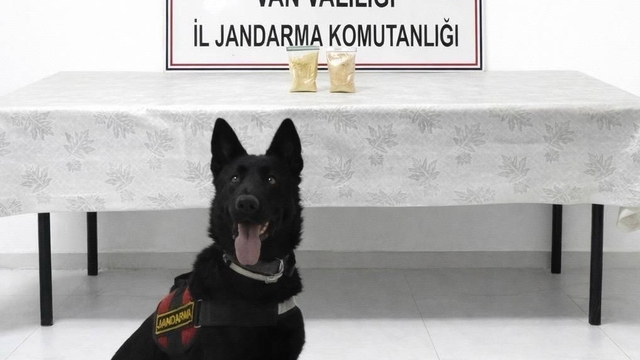 İranlı şahıs üzerinde 510 gram eroin ele geçirildi.