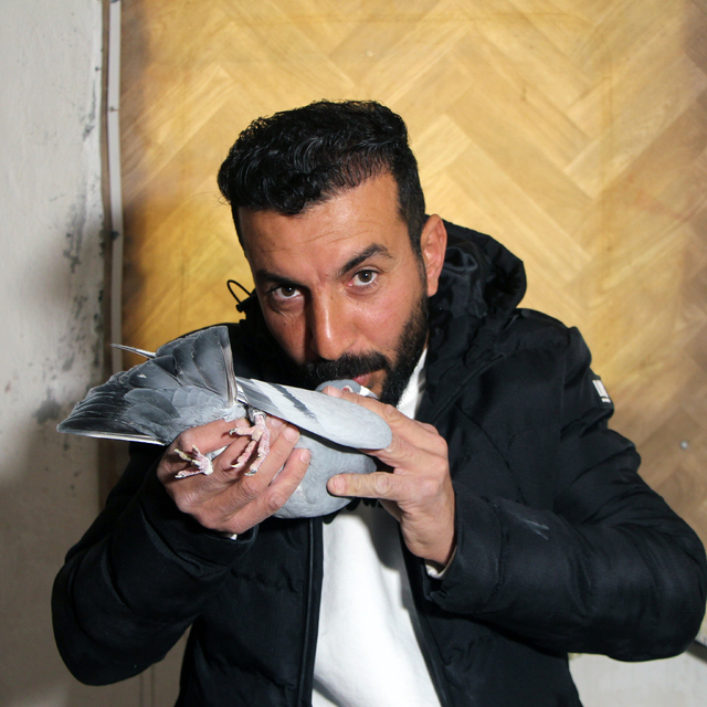 'Evladım' dediği güvercinini bulup getirene 75 bin TL ödül verecek