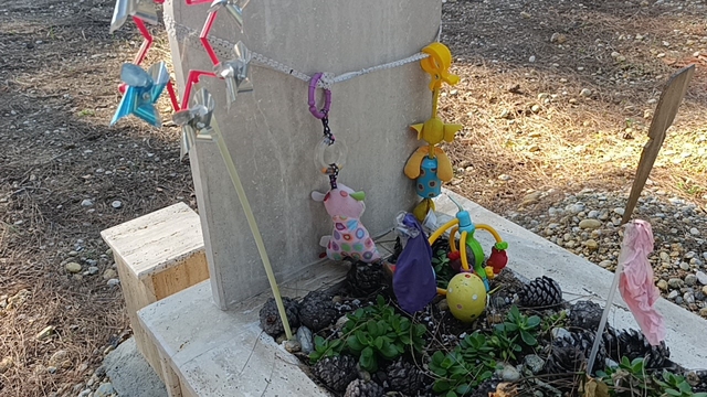 Çiçeklerden çok oyuncaklarla bezenen mezarlıkta duygulandıran görüntüler
Ziyaretçiler ellerinde çiçekler yerine rüzgar gülü ve oyuncaklarla geliyor
Sadece 0-1 yaş arası bebeklerin gömüldüğü mezarlık, rengarenk rüzgar gülleri ve bebeklere ait oyuncaklarla dolu
