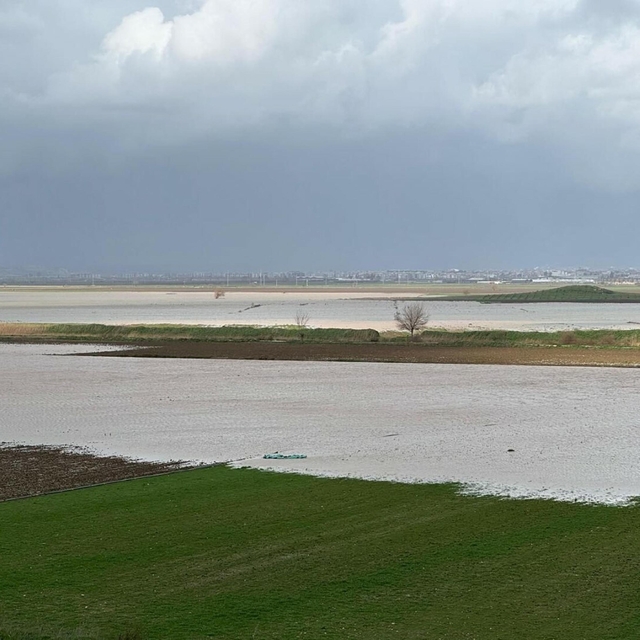 İzmir'de yağışlar çiftçinin yüzünü güldürdü