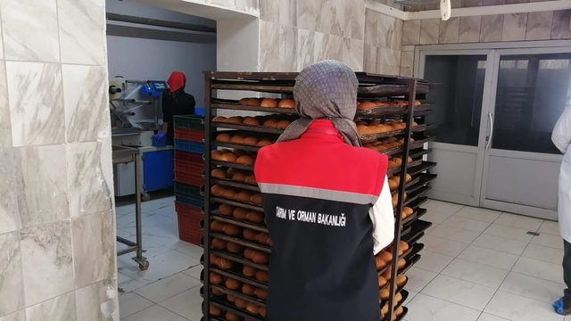 Erzurum'da gıda satışı yapan işletmeler denetlendi