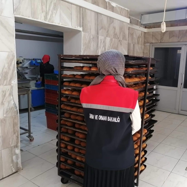 Erzurum'da gıda satışı yapan işletmeler denetlendi