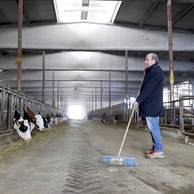 6 ŞUBAT DEPREMLERİNİN ÜÇÜNCÜ YILI - Depremlerde hayvanları telef olan besic...