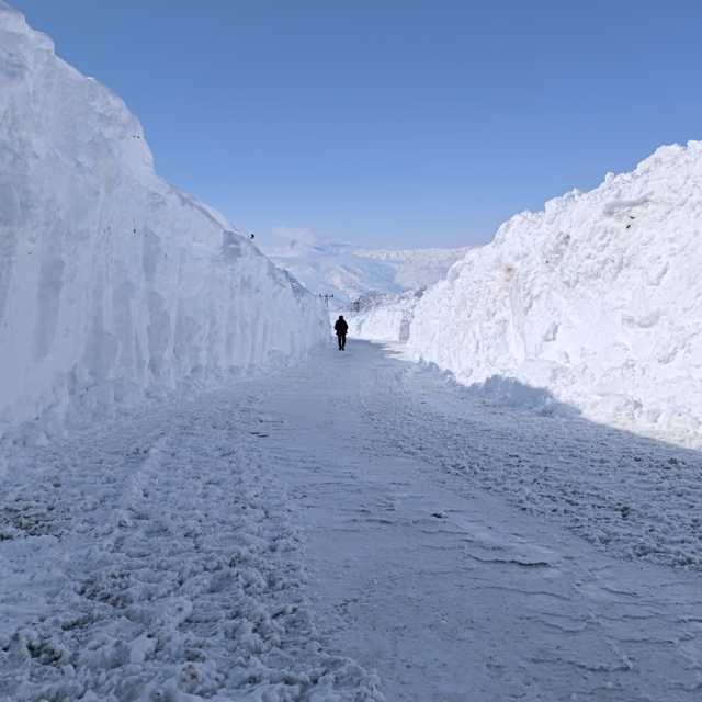 "Kar kaplanları" 5 ailenin yaşadığı yaylanın yolunu açmak için mücadele ver...