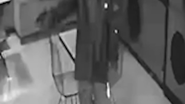 Sarallar çetesine büyük operasyon: 14 şüpheli yakalandı
Özel Harekat destekli operasyonda 17 adrese şafak baskını
Bursa merkezli 5 ilde Sarallar çetesine operasyon