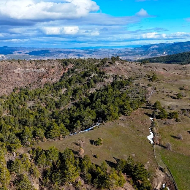 Karlar eridi, yaylalar yeşile bürünmeye başladı