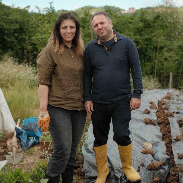 Ünlü zincir restoranda gıda zehirlenmesi iddiası
Trabzon'da karı koca MADO'...