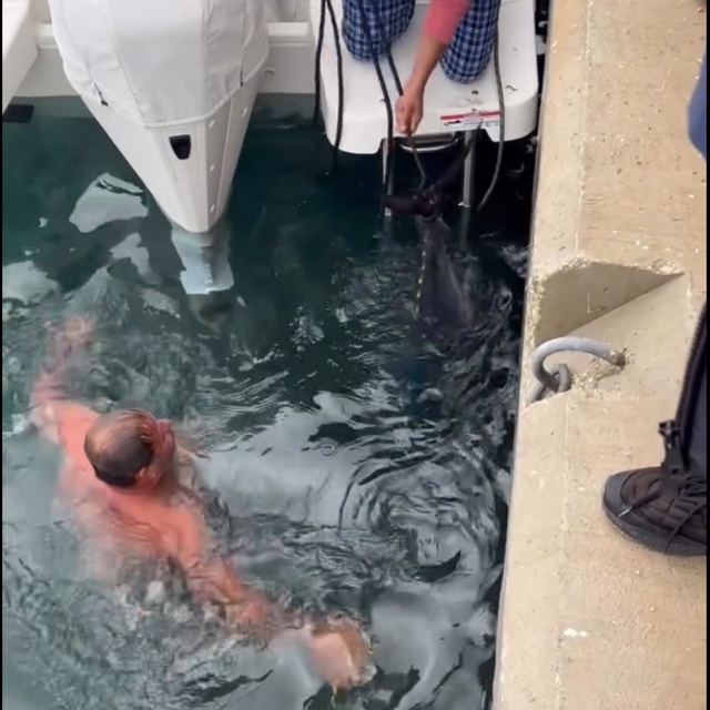 Soğuk havaya aldırış etmeden denize girip kıyıya vuran orkinosu çıkardı