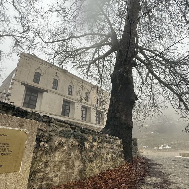 Lice'deki 486 yıllık Atak Ulu Camii sis içinde kaldı