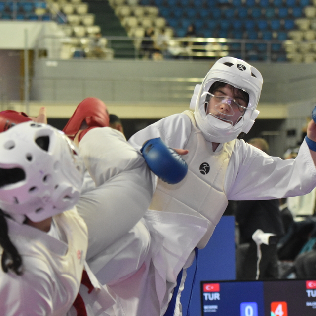 Sakarya'daki "Türkiye Yıldızlar Karate Ligi" müsabakaları sona erdi