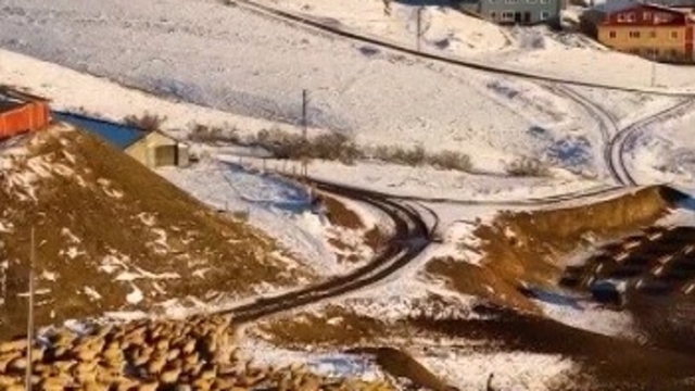Dağın huzuru, emeğin sesi: İliç'te küçükbaş hayvancılık