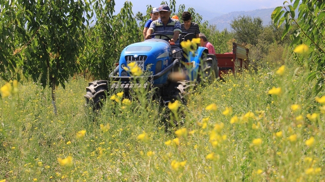 Traktörde "50 binler kulübü"ne 2 şehir daha katıldı
Ülkedeki her 3 traktörden biri bu 10 kentte bulunuyor