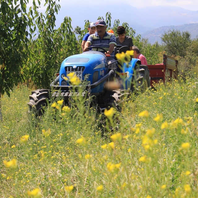 Traktörde "50 binler kulübü"ne 2 şehir daha katıldı
Ülkedeki her 3 traktörd...