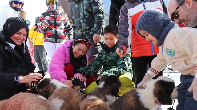 'Pastırma' ve 'Sucuk' isimli köpekler, Erciyes'in maskotu oldu